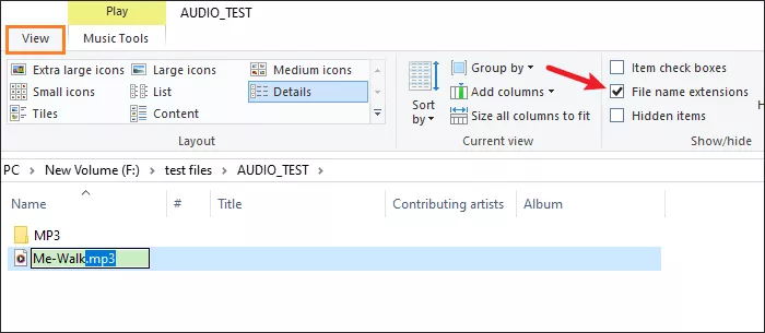 Tick File name extensions