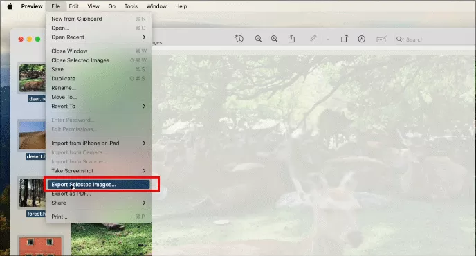 choose Exported selected images