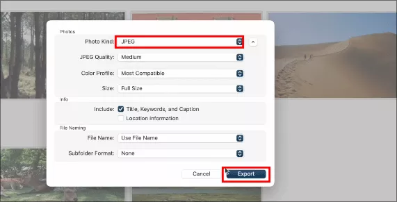select JPEG to export