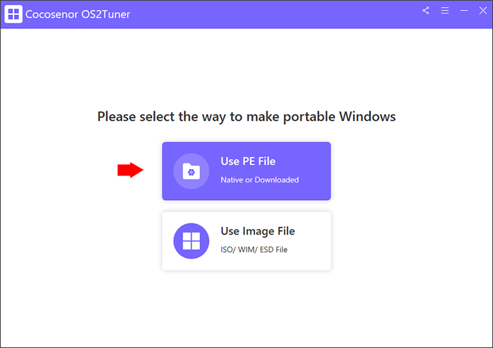 select the option Use PE File