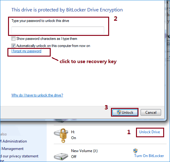 input password to unlock drive