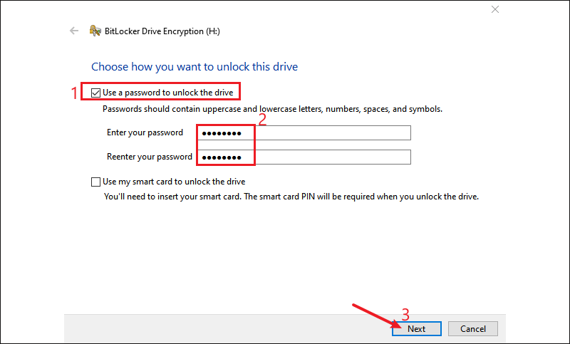 enter your password for bitlocker encryption