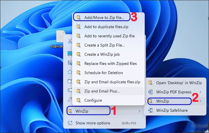 choose add to zip file