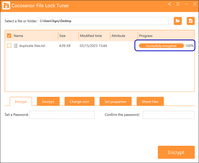 successfully encrypted Notepad text file