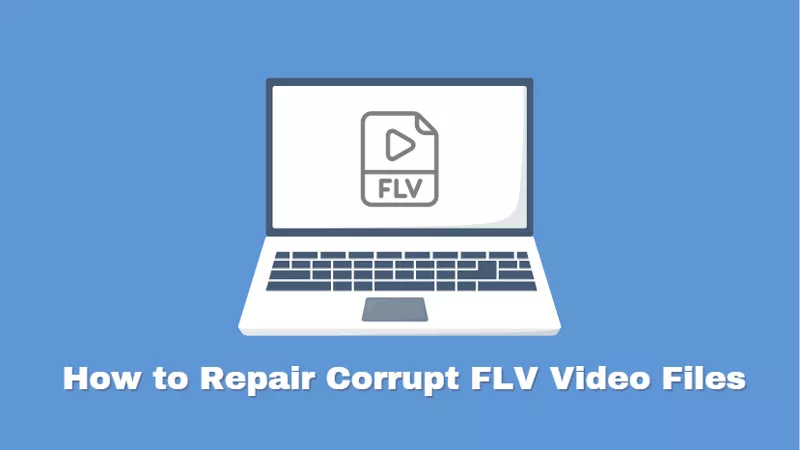 Repair FLV video files