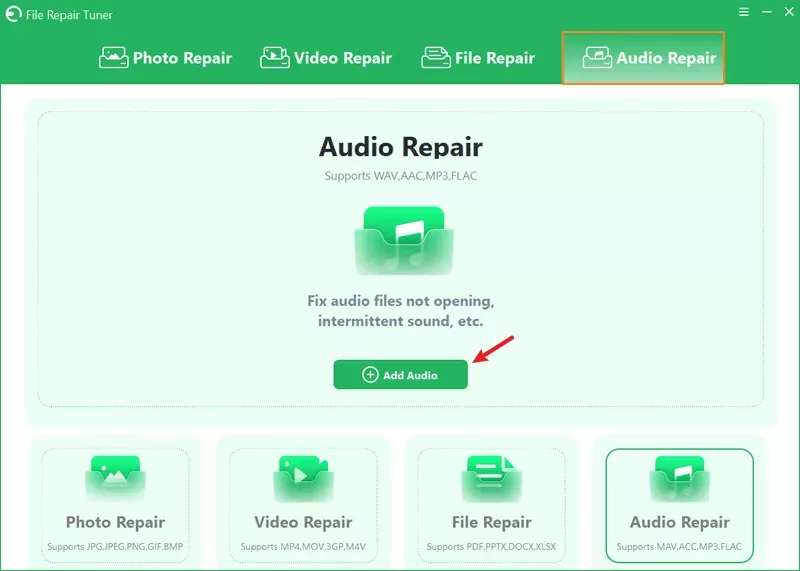 Click Audio File and Add Audio