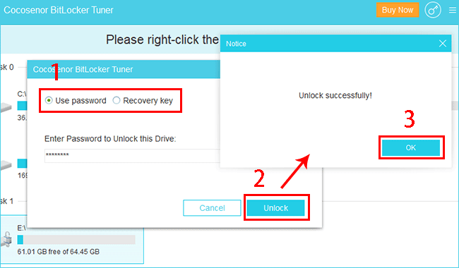unlock by password or recovery key