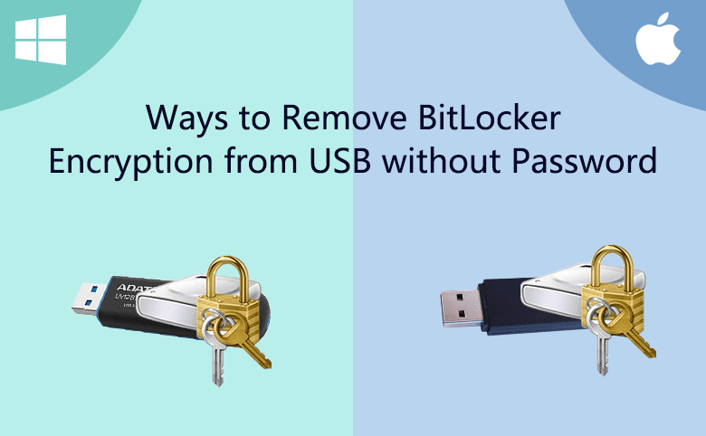 Reduktion lotus Berigelse Ways to Remove BitLocker Encryption from USB without Password
