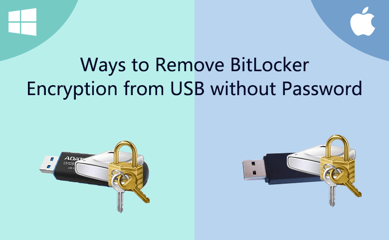 remove usb bitlocker