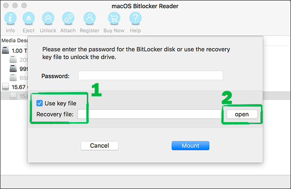 two steps to open fey file