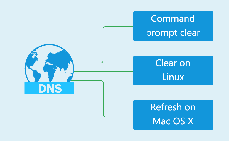 clear dns