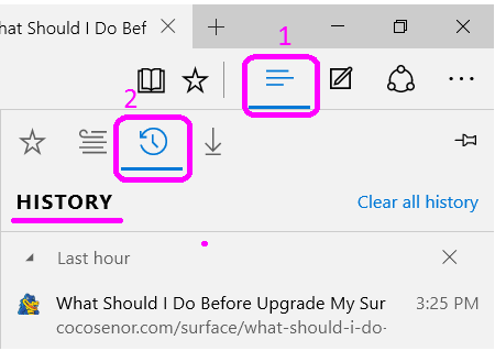 view edge browsing history