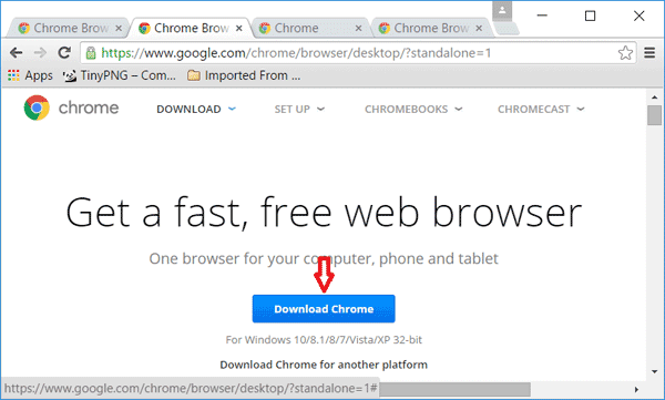 chrome standalone download