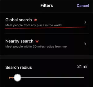 Hily Global Search Option