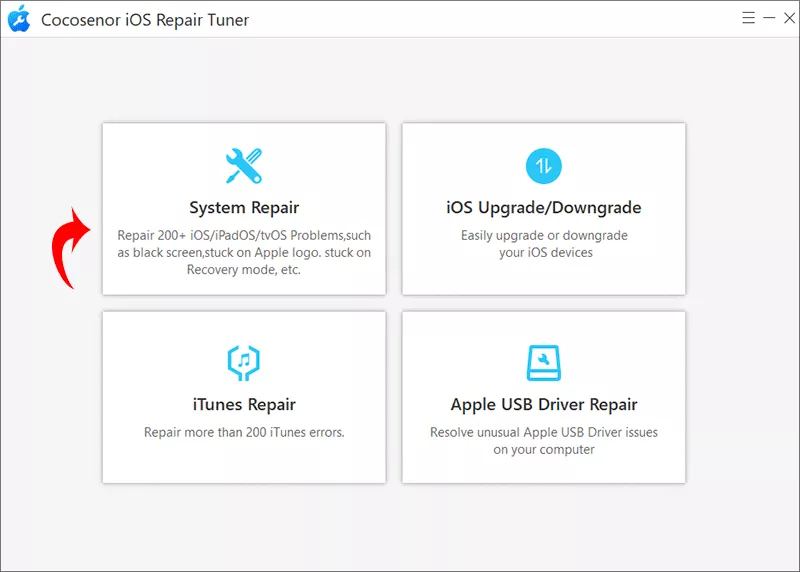 choose System Repair