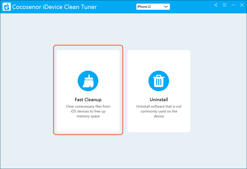 select Fast Cleanup