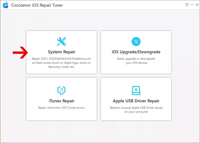 choose System Repair