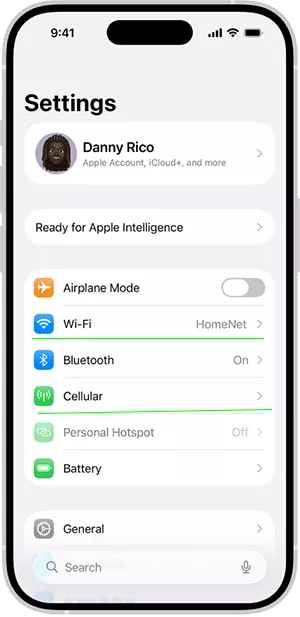 iPhone network connection