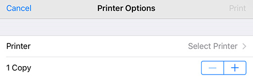 set on printer options