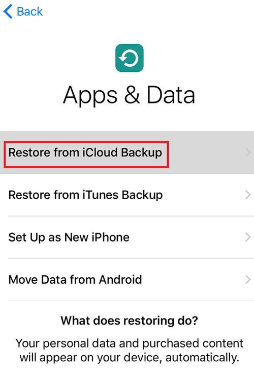 restore from icloud backup