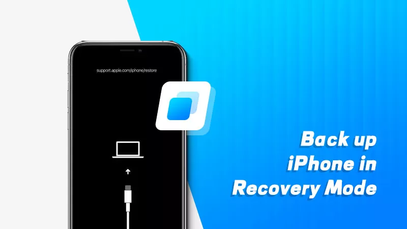 Back up iPhone in recovery mode