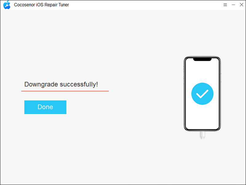 iOS downgrade successfully