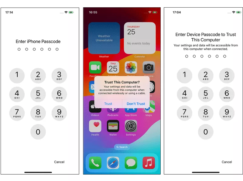 Click Trust This Computer
