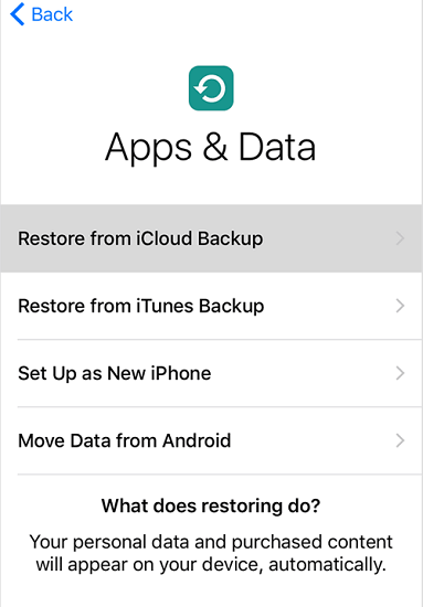 restore from icloud backup