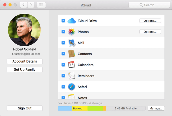 set up icloud drive on mac