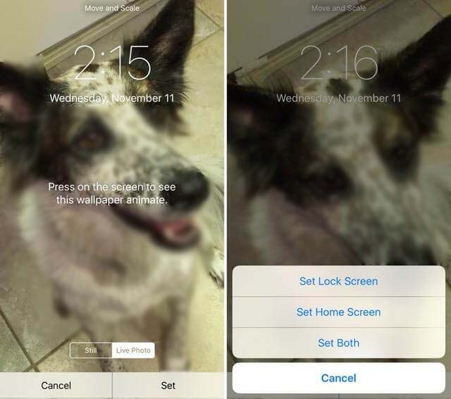 Set Live Photo as lock screen or Home screen