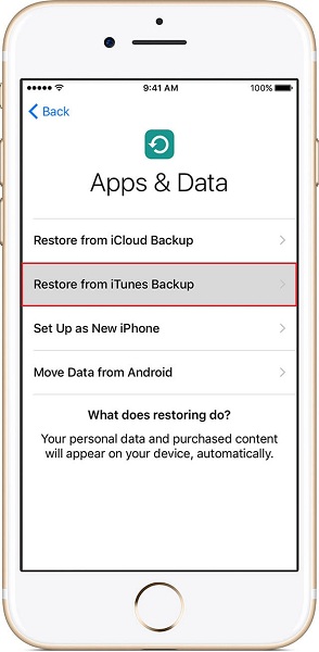 restore from iTunes backup