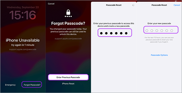 forgot passcode access with previous passcode option