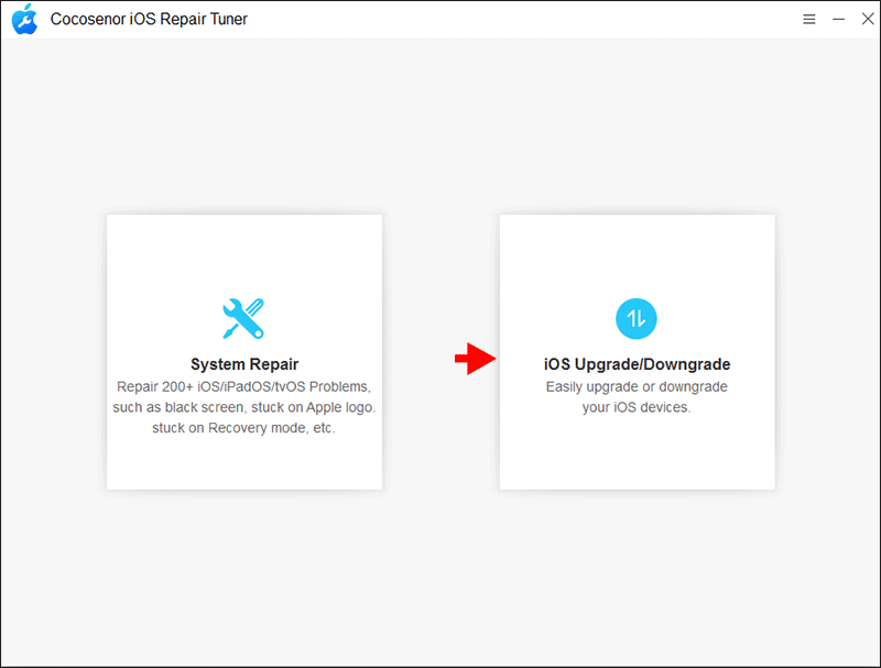 choose iOS Upgrade/Downgrade