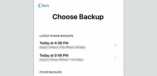 choose one backup