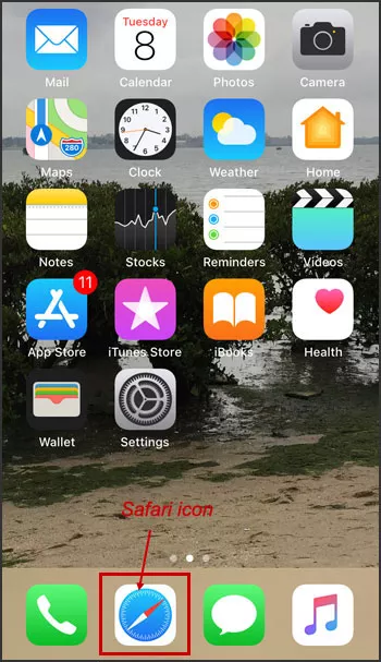 safari icon