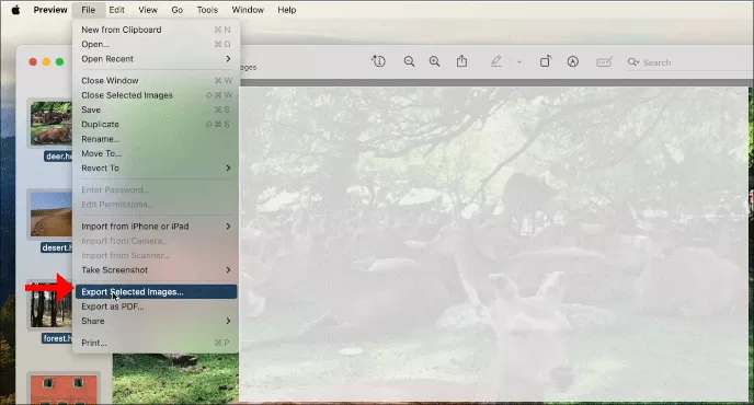 click Export selected image