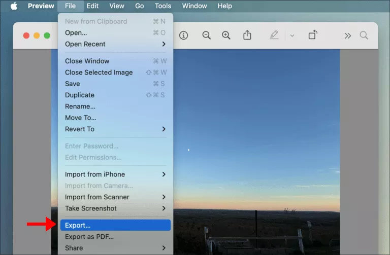 click Export