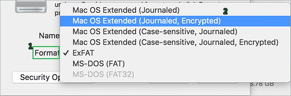 choose format type