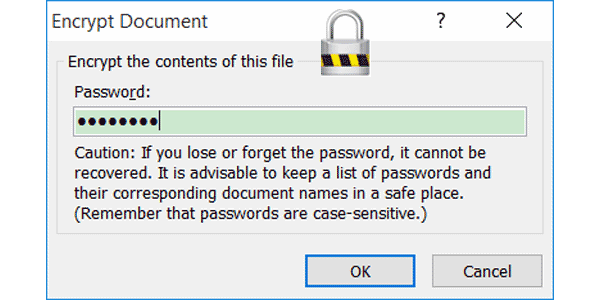 encrypt word document with password