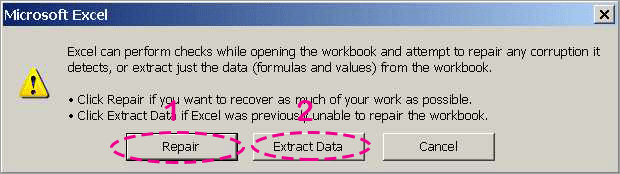 repair or extact data