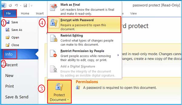 forgot password to word document