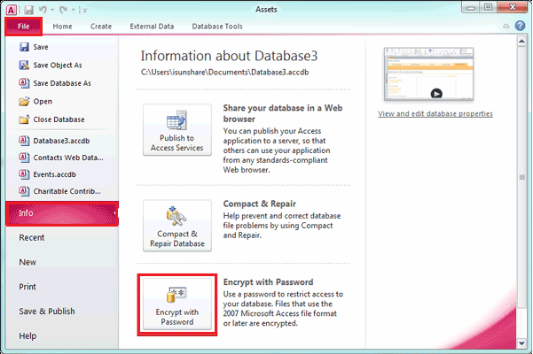 encrypt access 2010 db with password