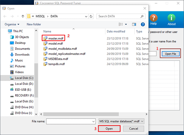 choose SQL master.mdf file