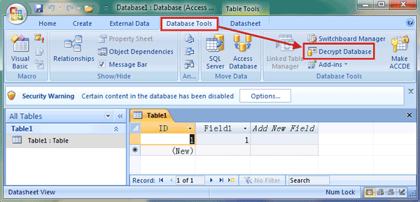 decrypt database 2007