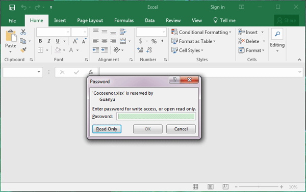 excel password read only 2013