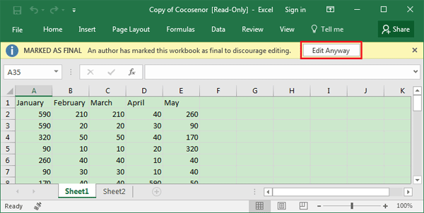 make excel spreadsheet password protected read only
