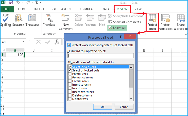 excel password protect file 2013