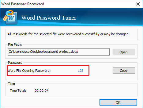 word document password