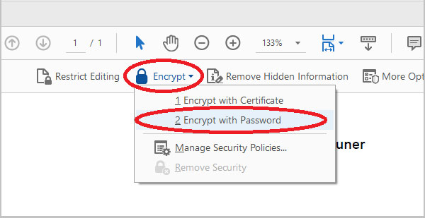 encrypt with password