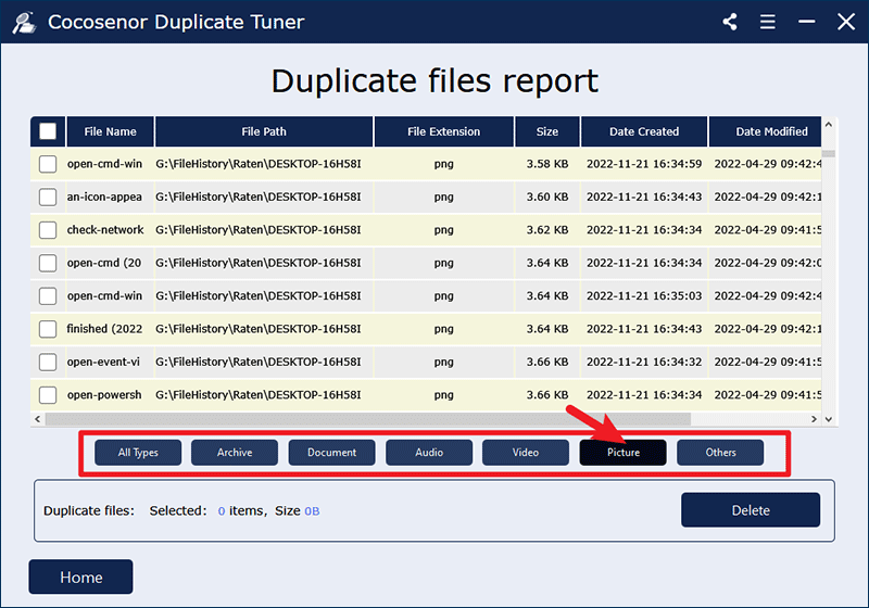 display duplicate files by category